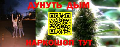 шишки Будённовск