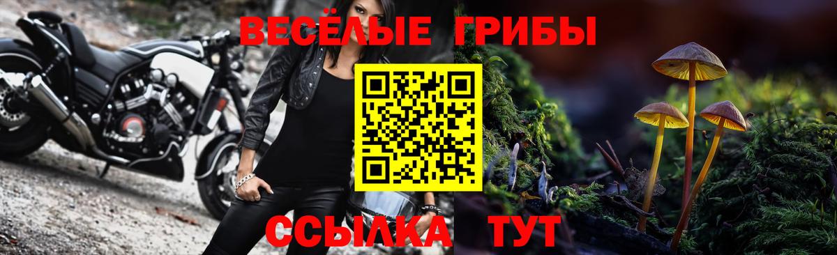Чистополь  Галлюциногенные грибы MAGIC MUSHROOMS  сколько стоит  Вход с VPN 